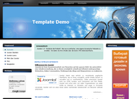 IBSI-US.COM Affordable Custom Web site design Tampa Florida